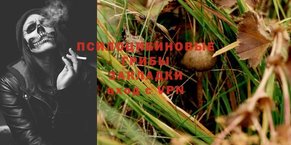 дурь Абаза