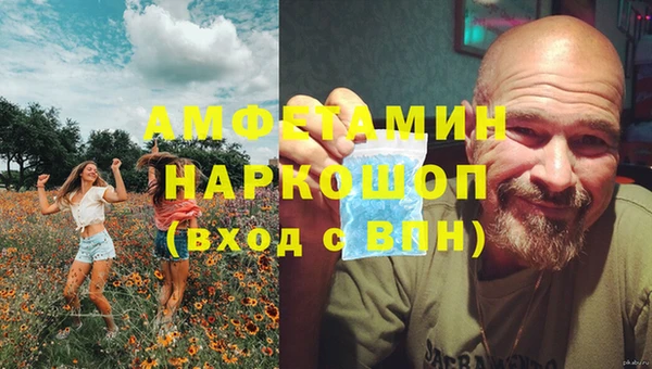 мет Алексин