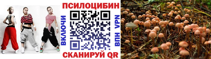 Галлюциногенные грибы Magic Shrooms  Сыктывкар 